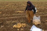 بێکاریی گەنجان، گەورەترین مەترسییە لەسەر ئایندەی کوردستان